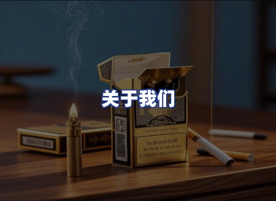 专业团队